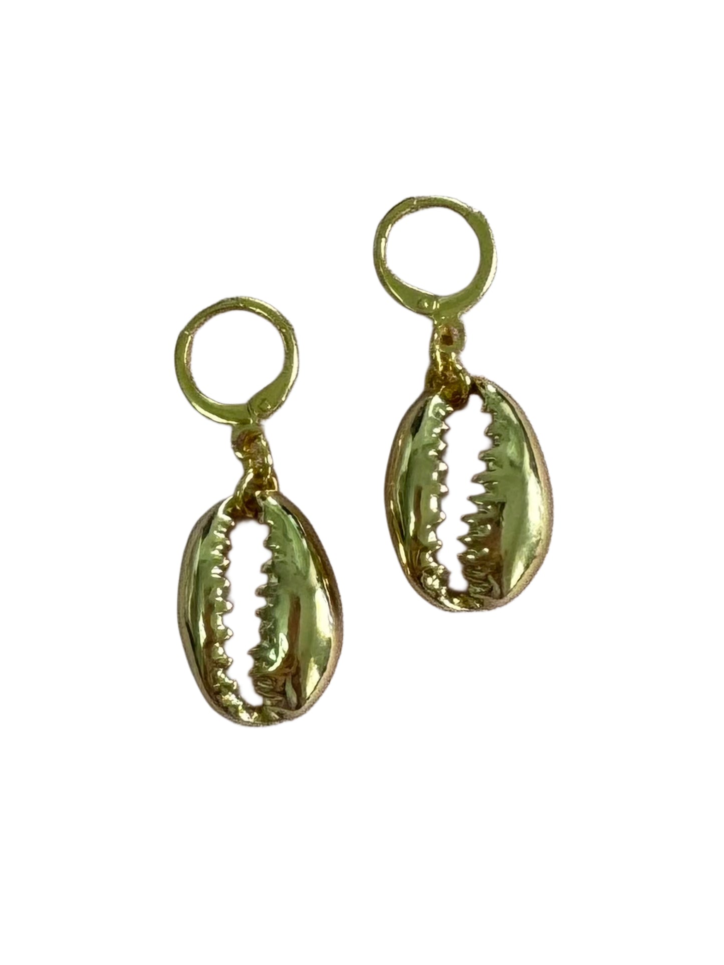 TESOROS DEL MAR - PANTALLAS